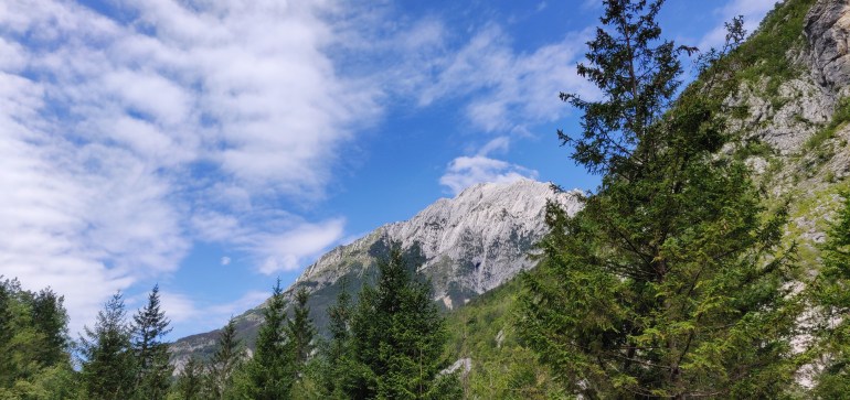 IMG_20190814_113246__01