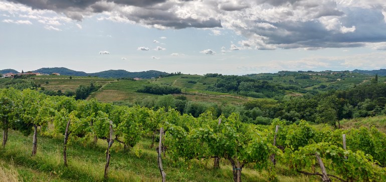 IMG_20190816_152742__01